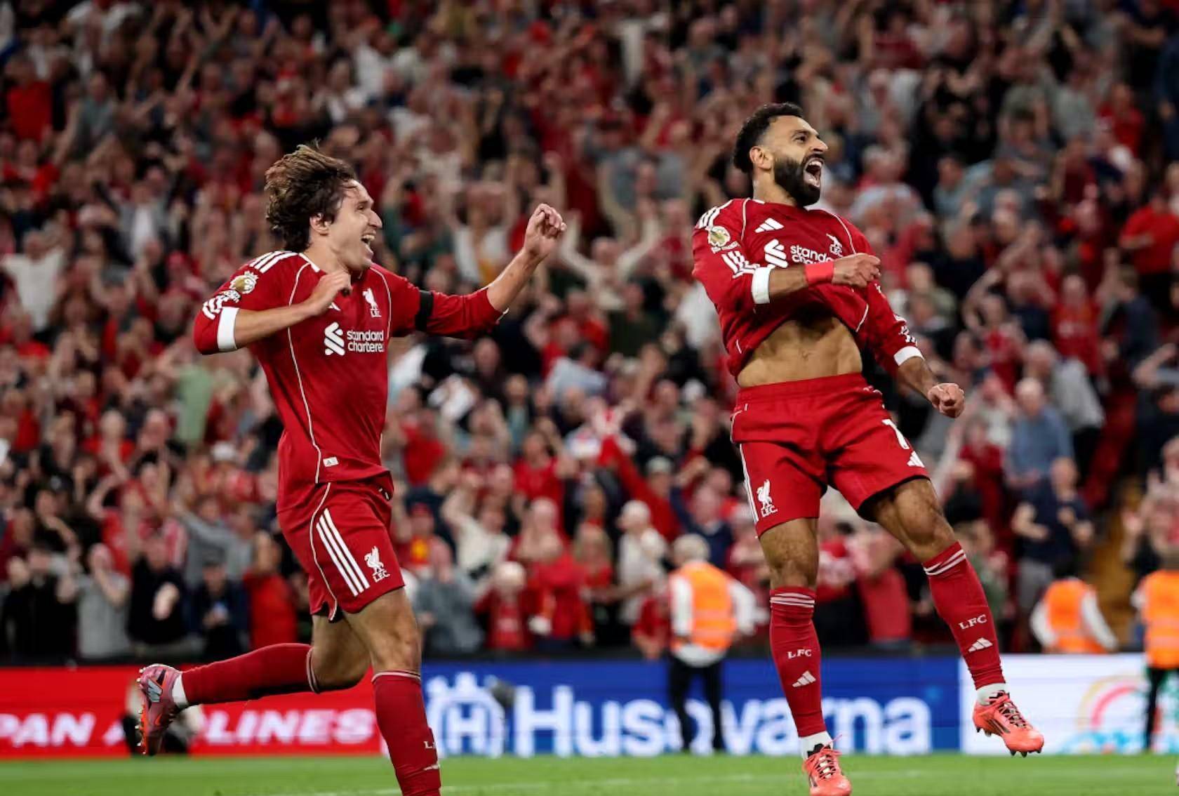 他们在复杂 他们在复杂